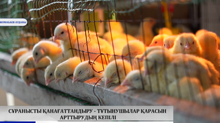 Сұранысты қанағаттандыру, тұтынушылар қарасын арттырудың кепілі