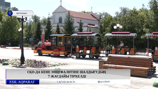 СҚО-да кене энцефалитіне шалдығудың 7 жағдайы тіркелді