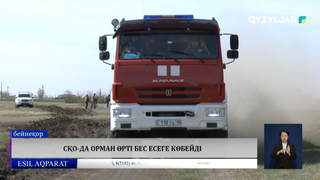 СҚО-да орман өрті бес есеге көбейді