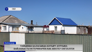 Тайынша қаласында құтыру ауруына байланысты ветеринариялық шектеу енгізілген