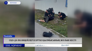 СҚО-да полицейлер есірткі қылмысының жолын кесті
