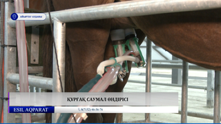 Құрғақ саумал өндірісі 