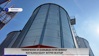 Тимирязев ауданында егін жинау науқаны қызу жүріп жатыр