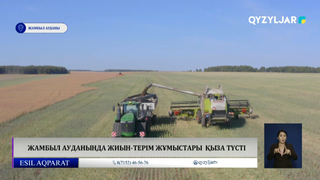 Жамбыл ауданында жиын-терім жұмыстары  қыза түсті 