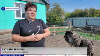 Экзотикалық құс өсірумен айналысады 