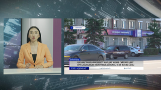 Қазақстанда бизнесті қолдау және сүйемелдеу орталығының пилоттық жобасы іске қосылады