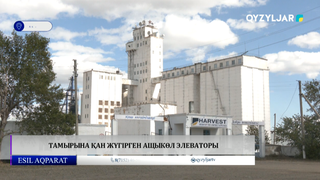 Тамырына қан жүгірген Ащыкөл элеваторы 