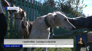 3 қыркүйек - Қазақы тазы күні