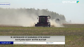  М. Жұмабаев ауданында егін жинау науқаны қызу жүріп жатыр