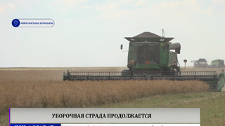 Уборочная страда продолжается  