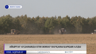 Айыртау ауданында егін жинау науқаны қарқын алды