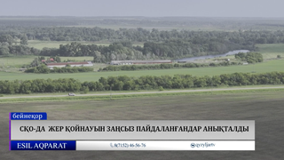 СҚО-да  жер қойнауын заңсыз пайдаланғандар анықталды 