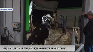 Өңіріміздегі сүт өндірісі қарқыны еселене түспек