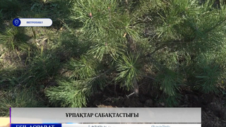 Ұрпақтар сабақтастығы