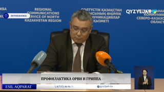 Профилактика ОРВИ и гриппа