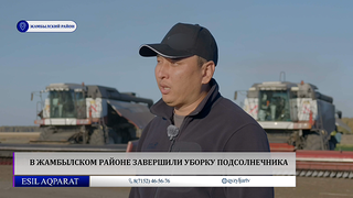  В Жамбылском районе завершили уборку подсолнечника