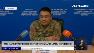 Мұз қалыптасу кезеңіндегі су жағалауындағы қауіпсіздік