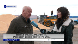  Берекелі алқап, заманауи тәсіл: Тайыншада көкөніс өсіру ісі өріс алуда