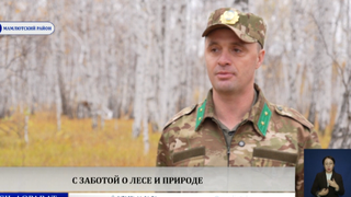  С заботой о лесе и природе