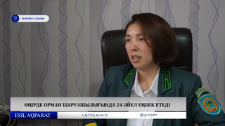  Өңірде орман шаруашылығында 24 әйел еңбек етеді