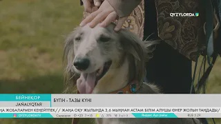 Бүгін - тазы күні