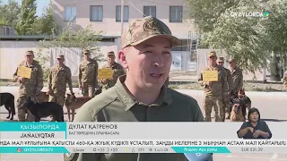 Иісшіл иттер сайысы: Әскери кинологтар өзара мықтыны анықтауда