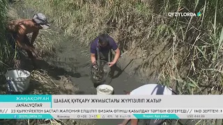 Шабақ құтқару жұмыстары жүргізіліп жатыр