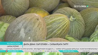 Дала дәмі: Сыр елінен – Сарыарқаға тарту