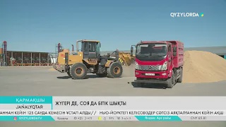 Жүгері де, соя да бітік шықты