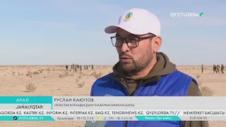 Теңіз ұлтанына 500 түп сексеуіл көшеті егілді