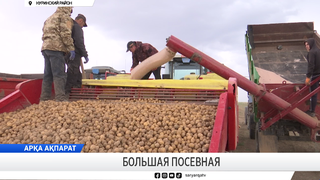 Большая посевная