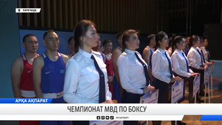 Чемпионат МВД по боксу