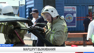 Маршрут выживания