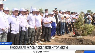 Экосаябақ жасыл желекпен толықты