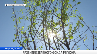 Развитие зеленого фонда региона