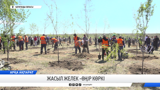 Жасыл желек – өңір көркі