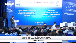VI конгресс нейрохирургов