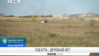Суд есть - деревьев нет