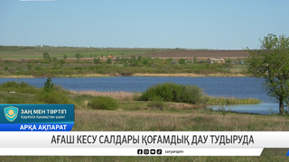 Ағаш кесу салдары қоғамдық дау тудыруда