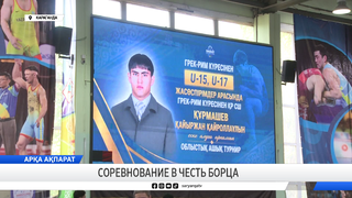 Соревнование в честь борца