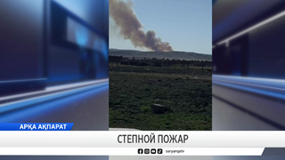Степной пожар