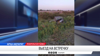 Выезд на встречку
