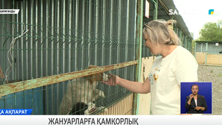 Жануарларға қамқорлық
