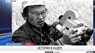 История в кадре