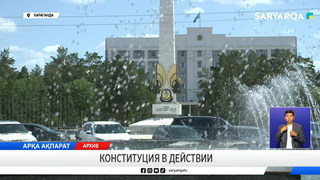 Конституция в действии