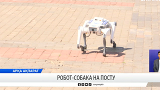 Робот-собака на посту