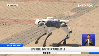 Ерекше тәртіп сақшысы