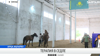 Терапия в седле