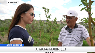 Алма бағы ашылды