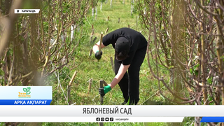 Яблоневый сад